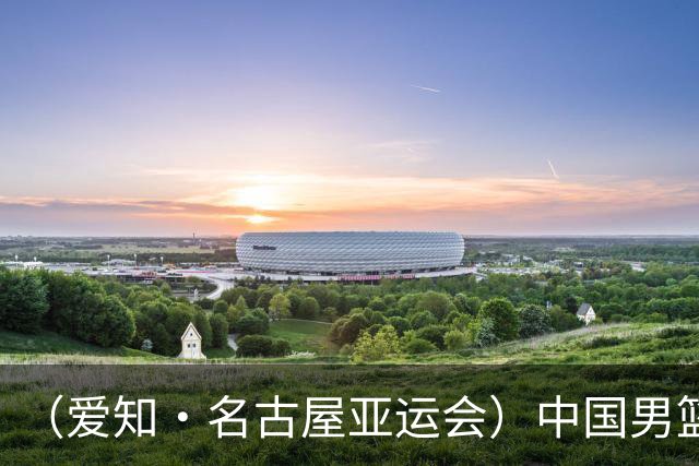 （爱知·名古屋亚运会）中国男篮无缘爱知·名古屋亚运会决赛